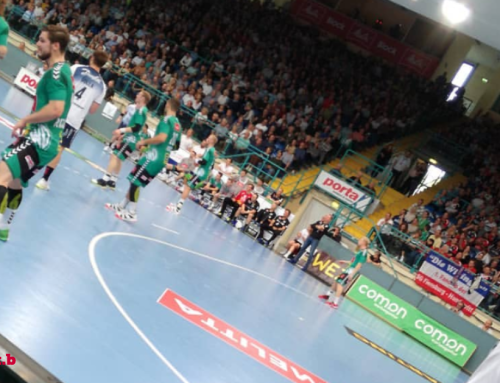 Hacken am Kreis Handball Blog: GWD Minden vs. SG Flensburg-Handewitt